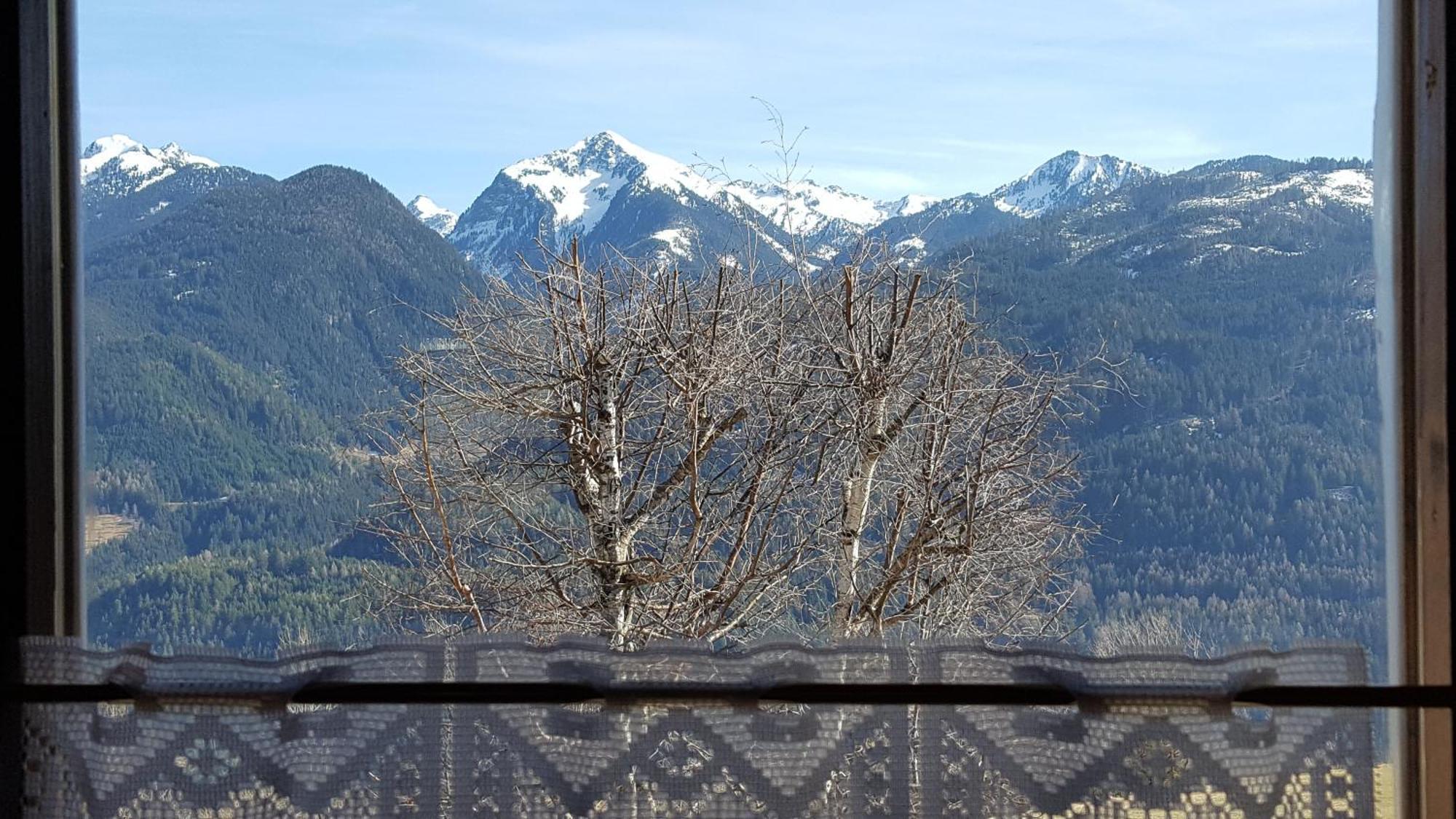 Un "Gioiello" Di Fronte Alle Dolomiti 卡拉诺 外观 照片